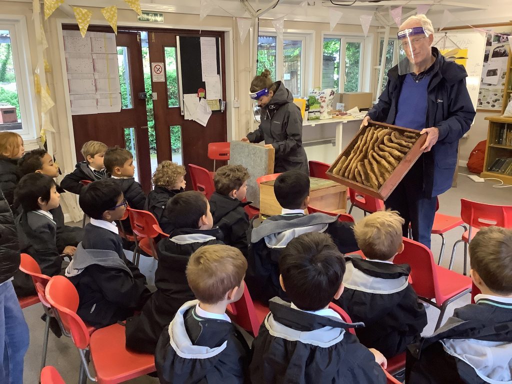 Beehives being shown to children