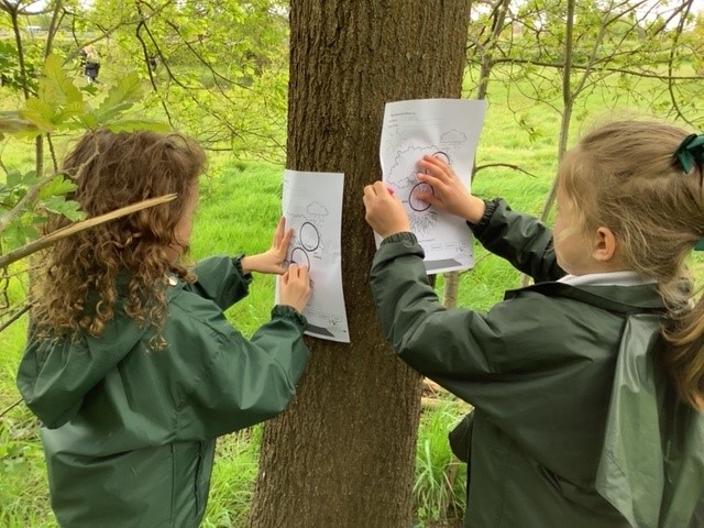 Girls drawing at a tree tunk