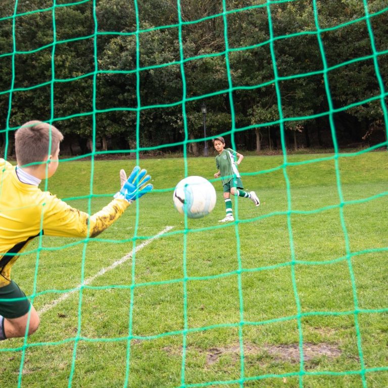 goalie catching a ball