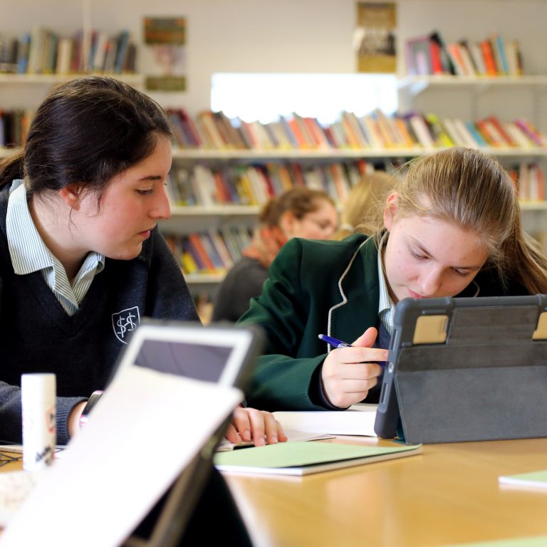 Students working in the library