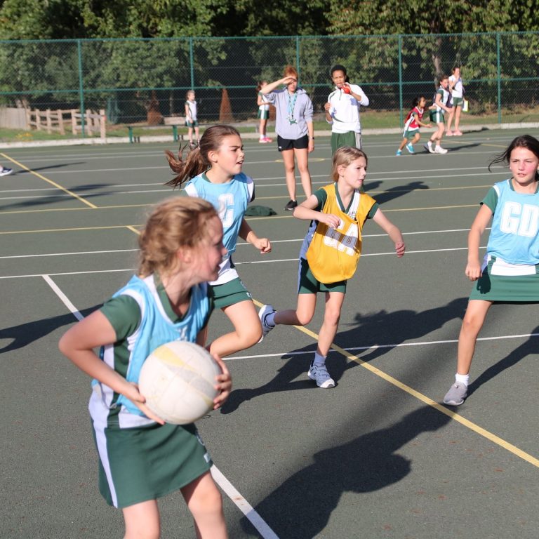 netball