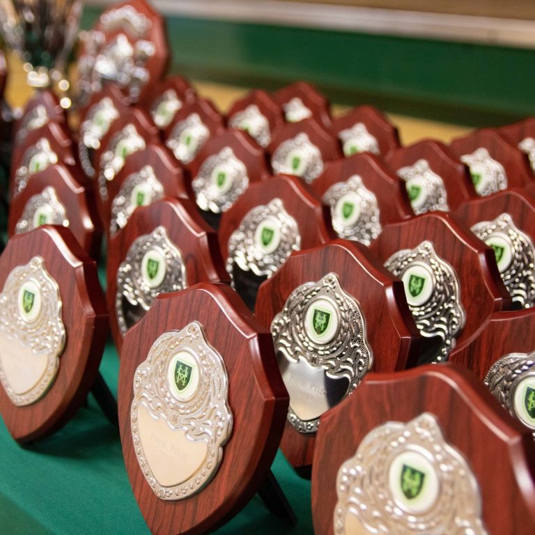 rows of badges and awards