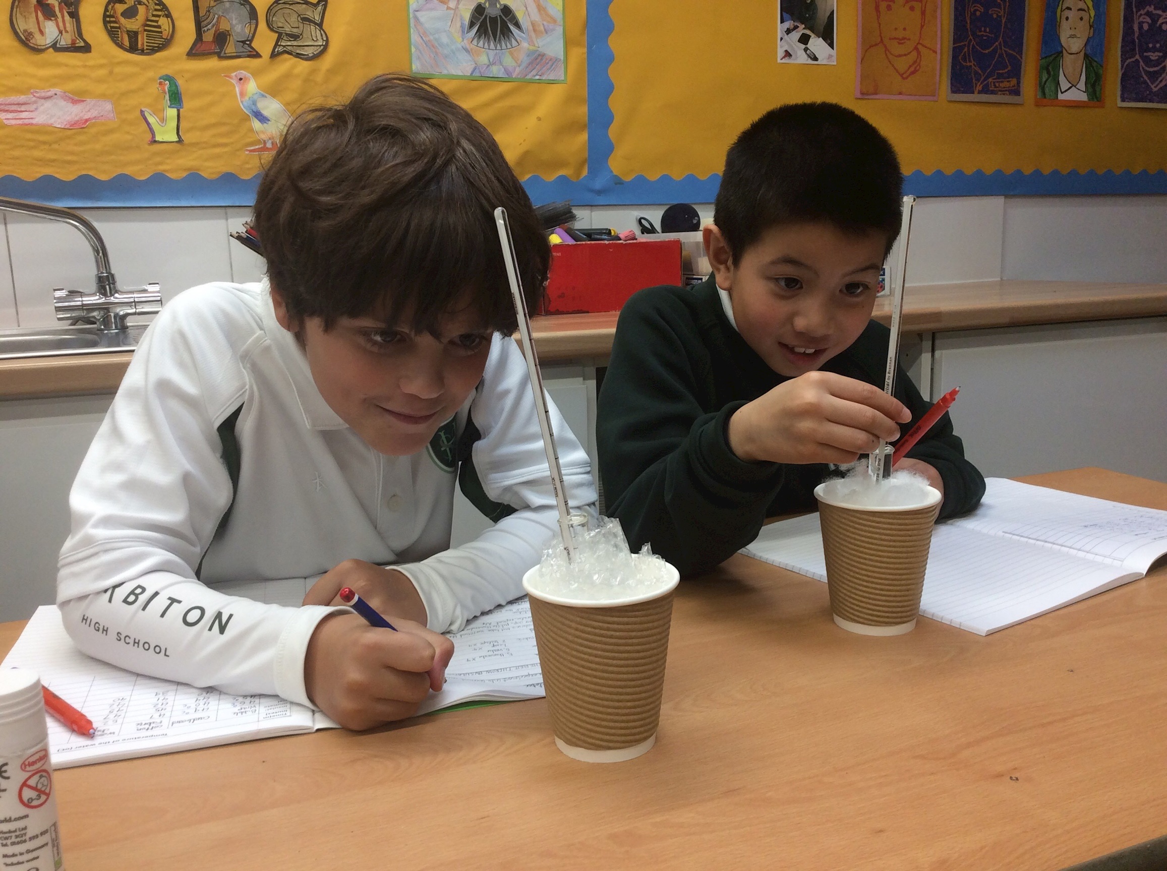 YEAR 5 DESIGN EXPERIMENTS TO TEST WHAT IS THE BEST THERMAL INSULATOR