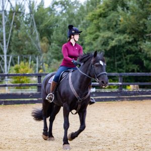 student on a brown-coloured horse