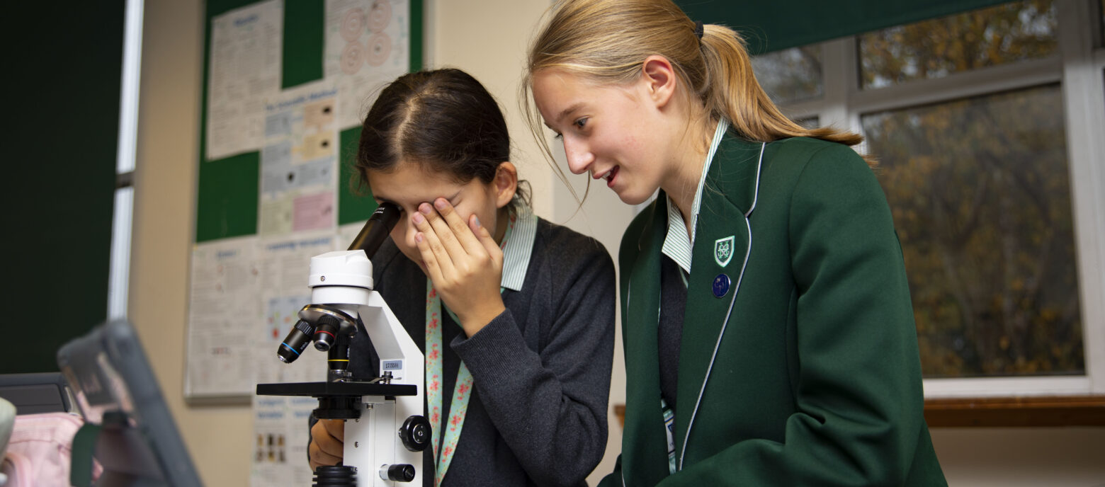 students using a microscope