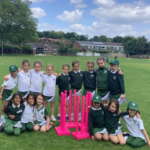 Year 2 Surrey Starburst Cricket Festival